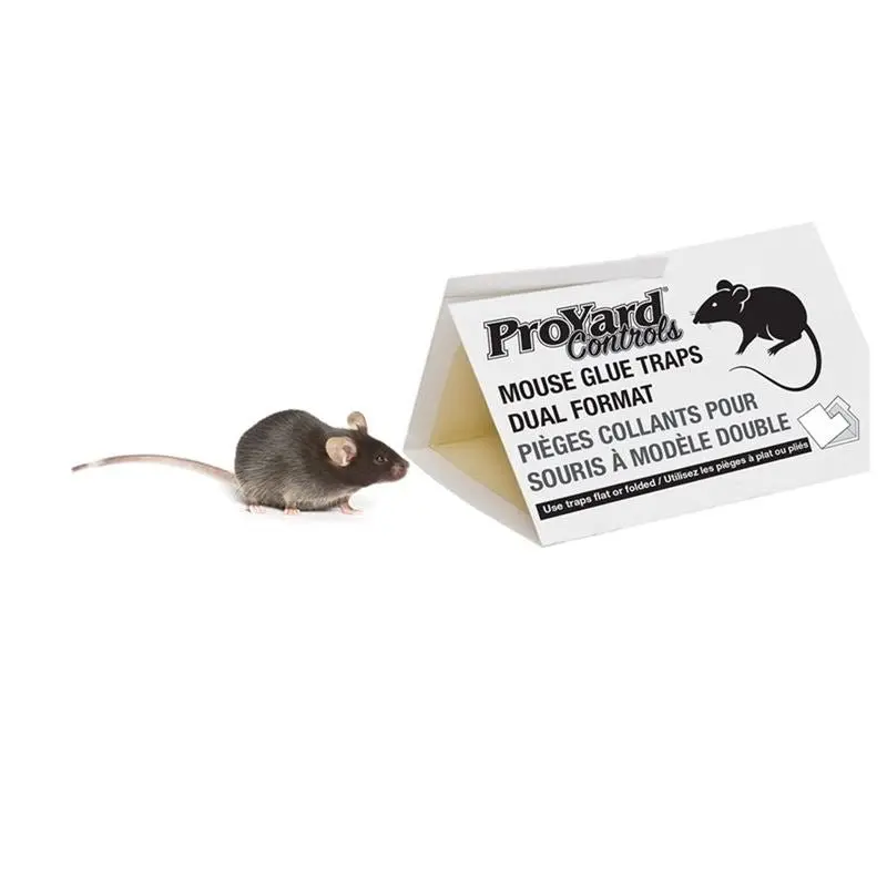 Proyard Foldable Mouse Glue Traps – 2-Pack Disposable Boards 1