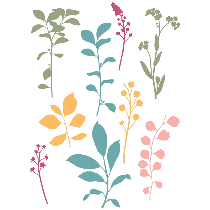 Sizzix Fine Stems 01 A5 Clear Stamp Set – 9-Piece Botanical Illustration Collection By 49 & Market 1