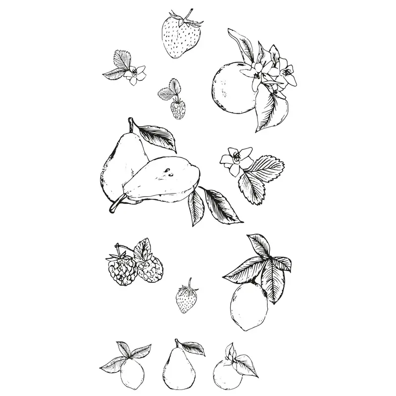 Sizzix Lisa Jones Botanical Fruit Clear Stamp Set – 19-Piece Fresh Produce Themed Design Kit 1
