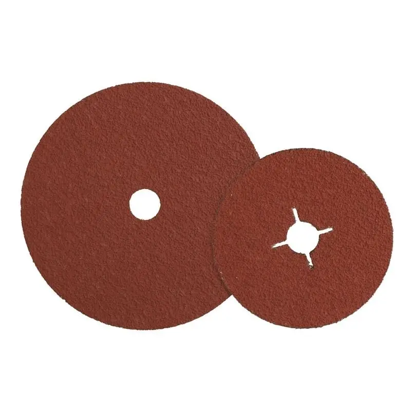 Walter Xtracut 5" Sanding Disc – Extra-Coarse Grit 1